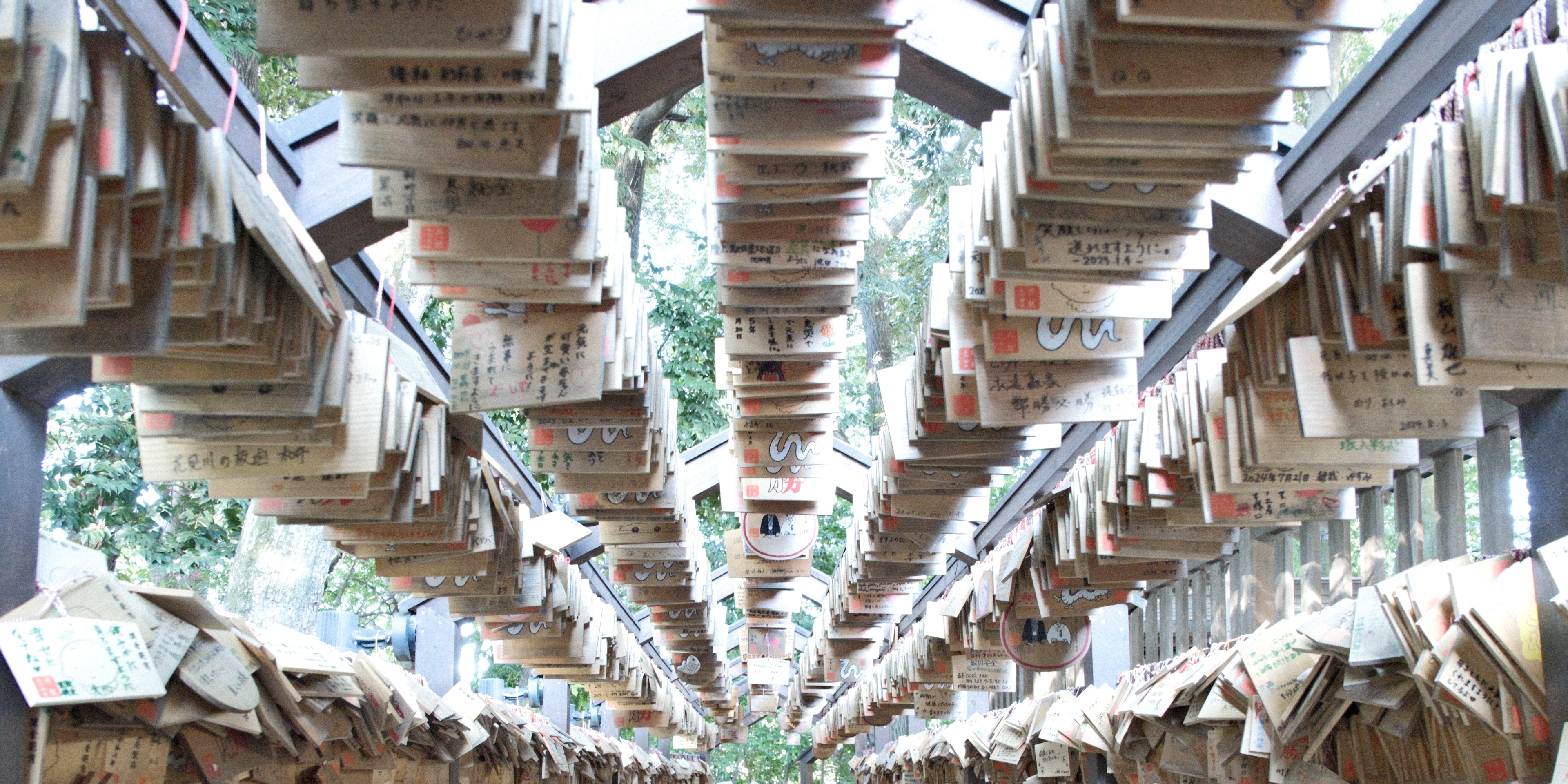 11月撮影会(川越エリア)