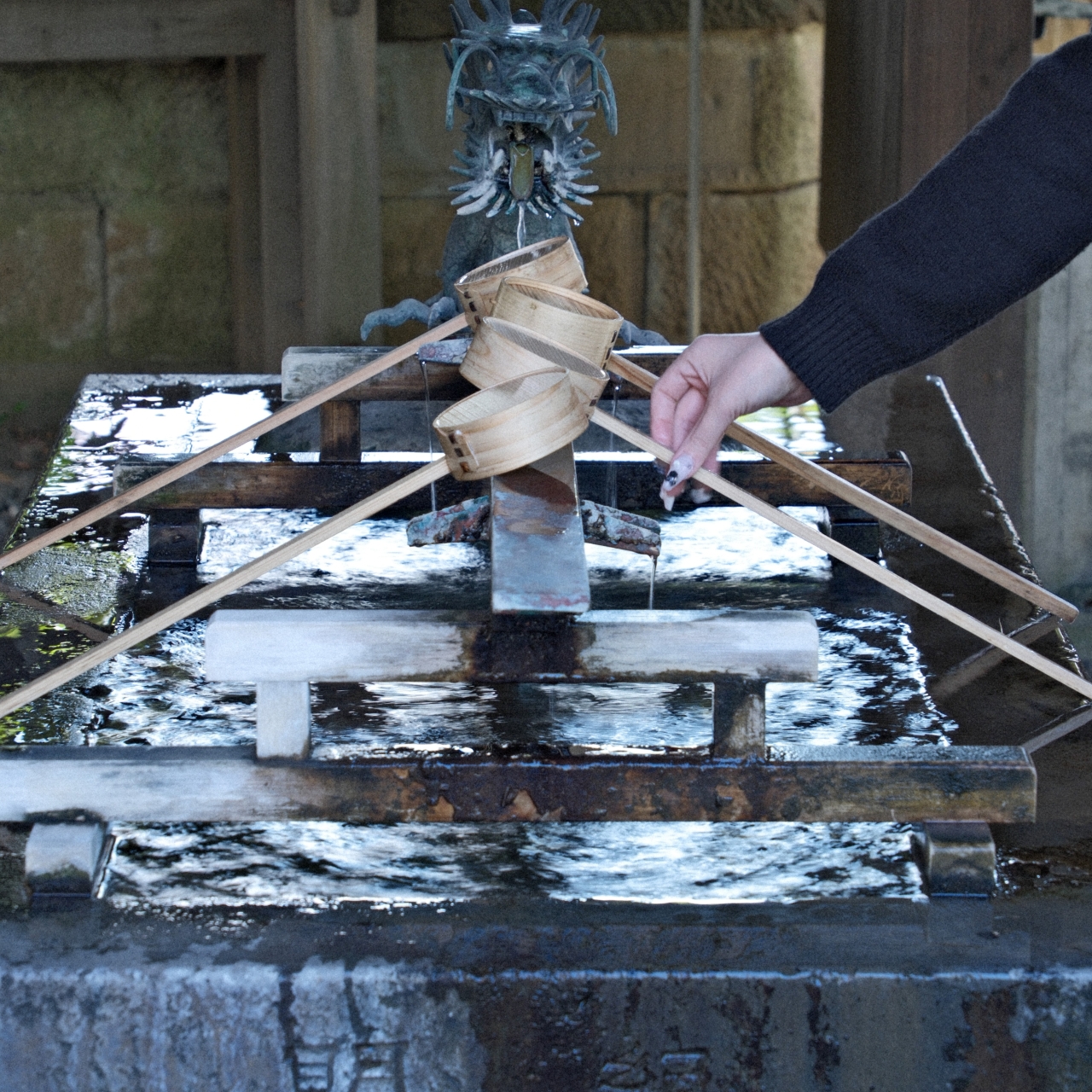 11月撮影会(川越エリア)