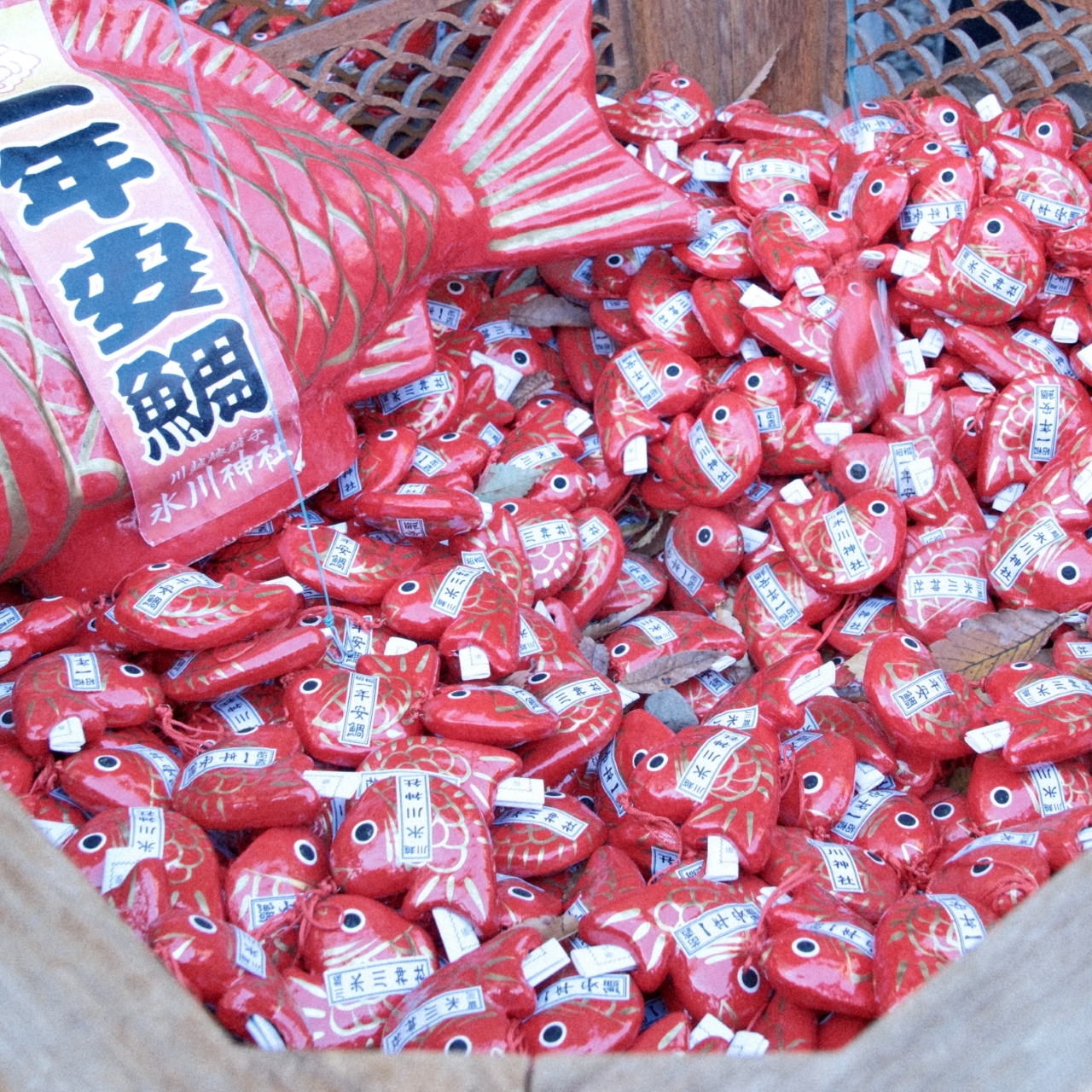 11月撮影会(川越エリア)