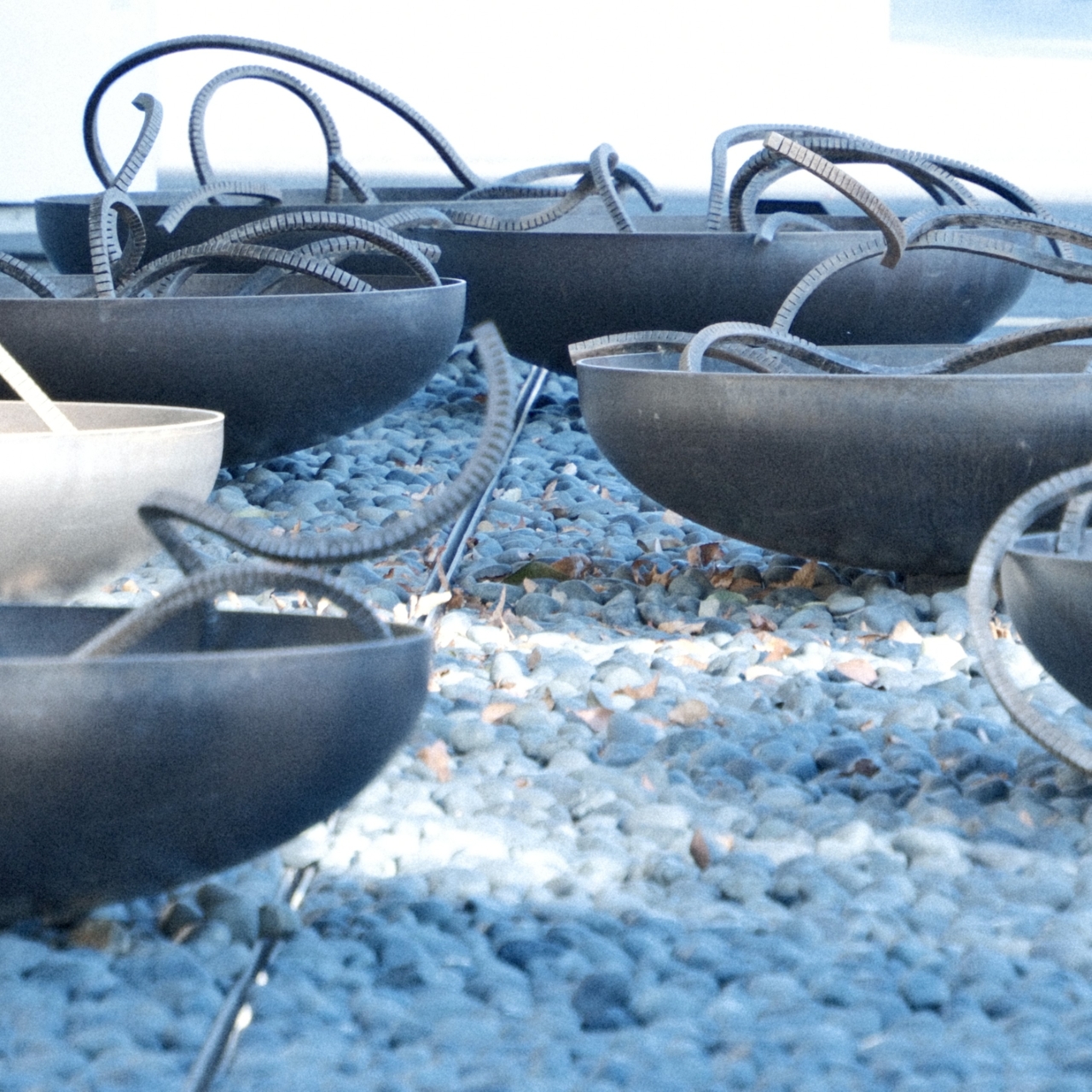 11月撮影会(川越エリア)