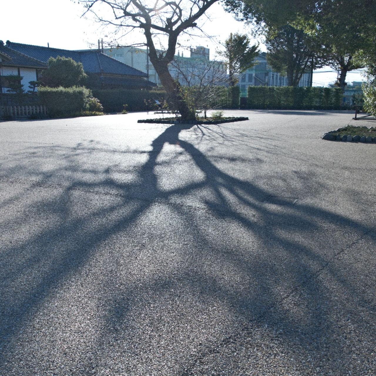 11月撮影会(川越エリア)