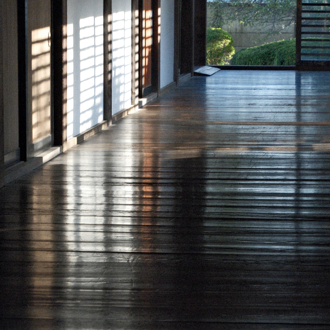 11月撮影会(川越エリア)