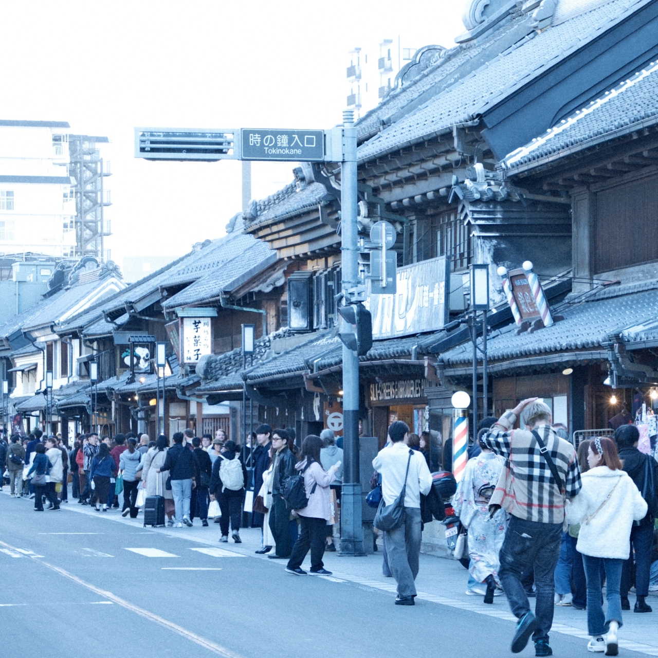 11月撮影会(川越エリア)